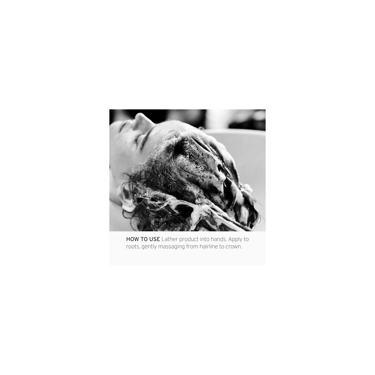 Fekkai Full Blown Volume Promo Codes - RebateKey