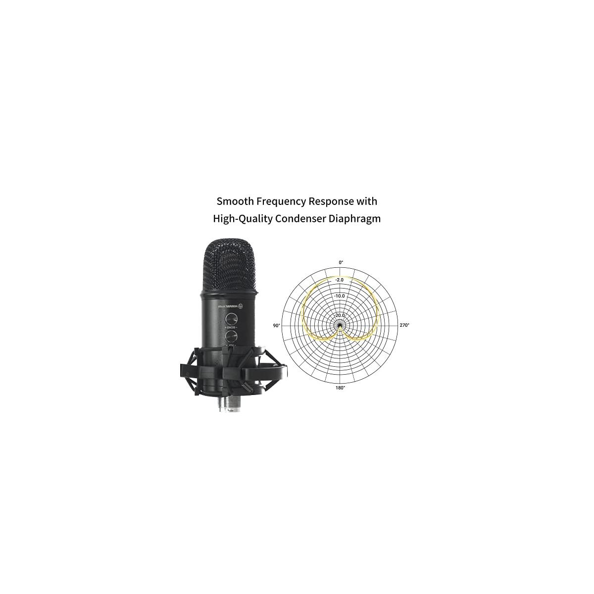 Professional Multipurpose Usb Microphone Deal - RebateKey