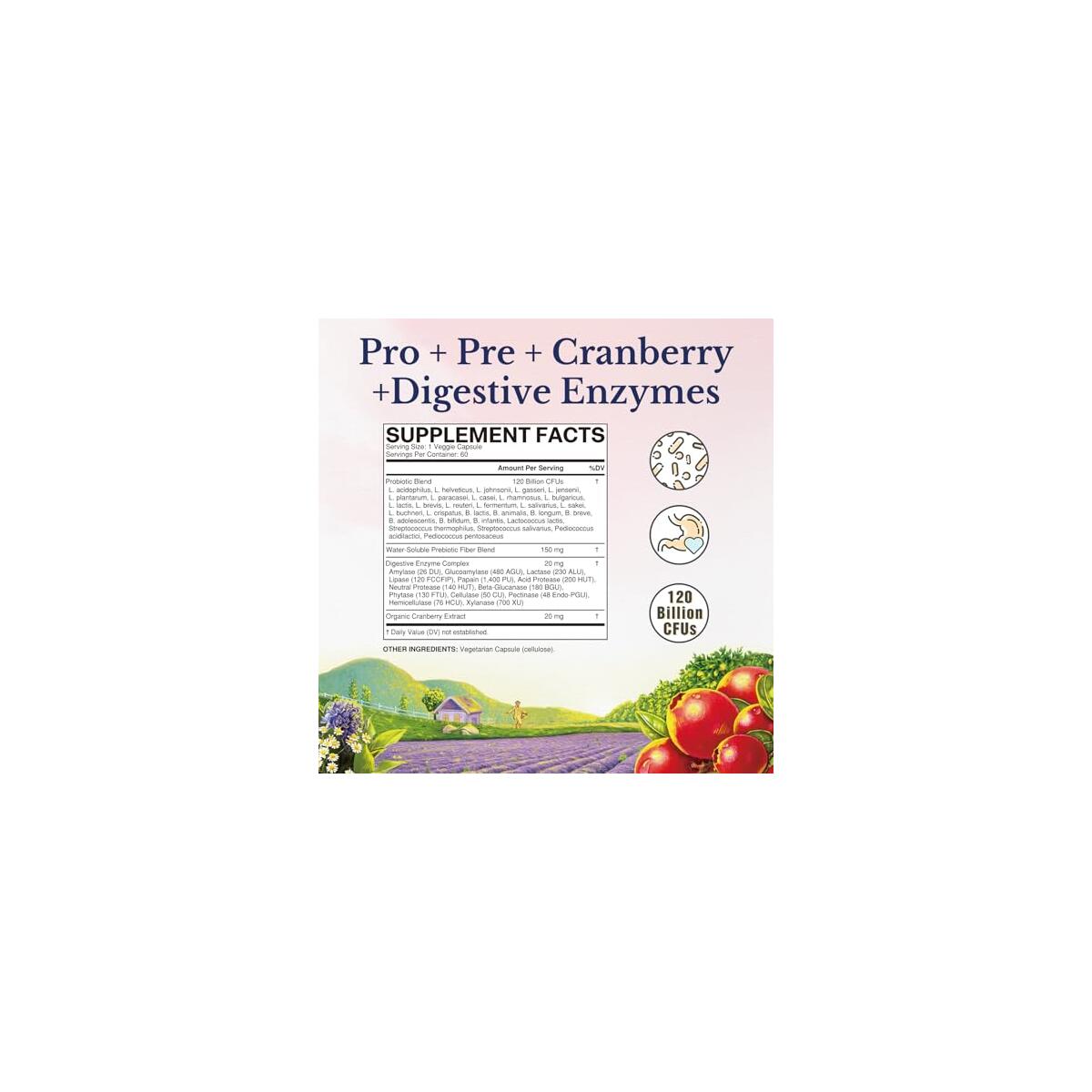 Vitalitown Probiotics Promo Code - RebateKey