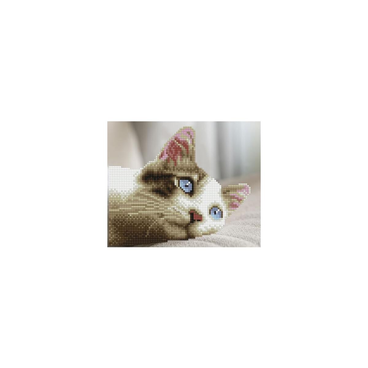 Diamond Dotz Simply Dotz Promo Code - RebateKey