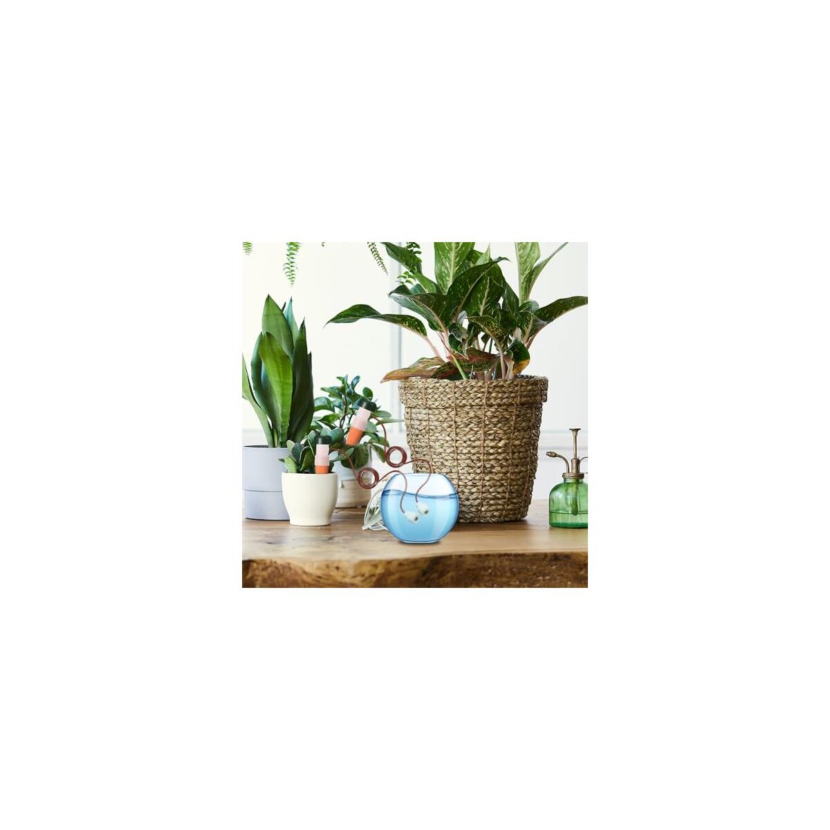 Water Dispenser 2 Coupons - RebateKey