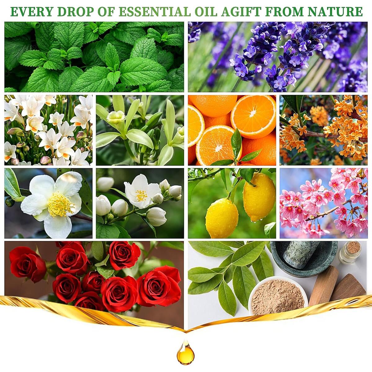Essential Oils Se Coupon - RebateKey