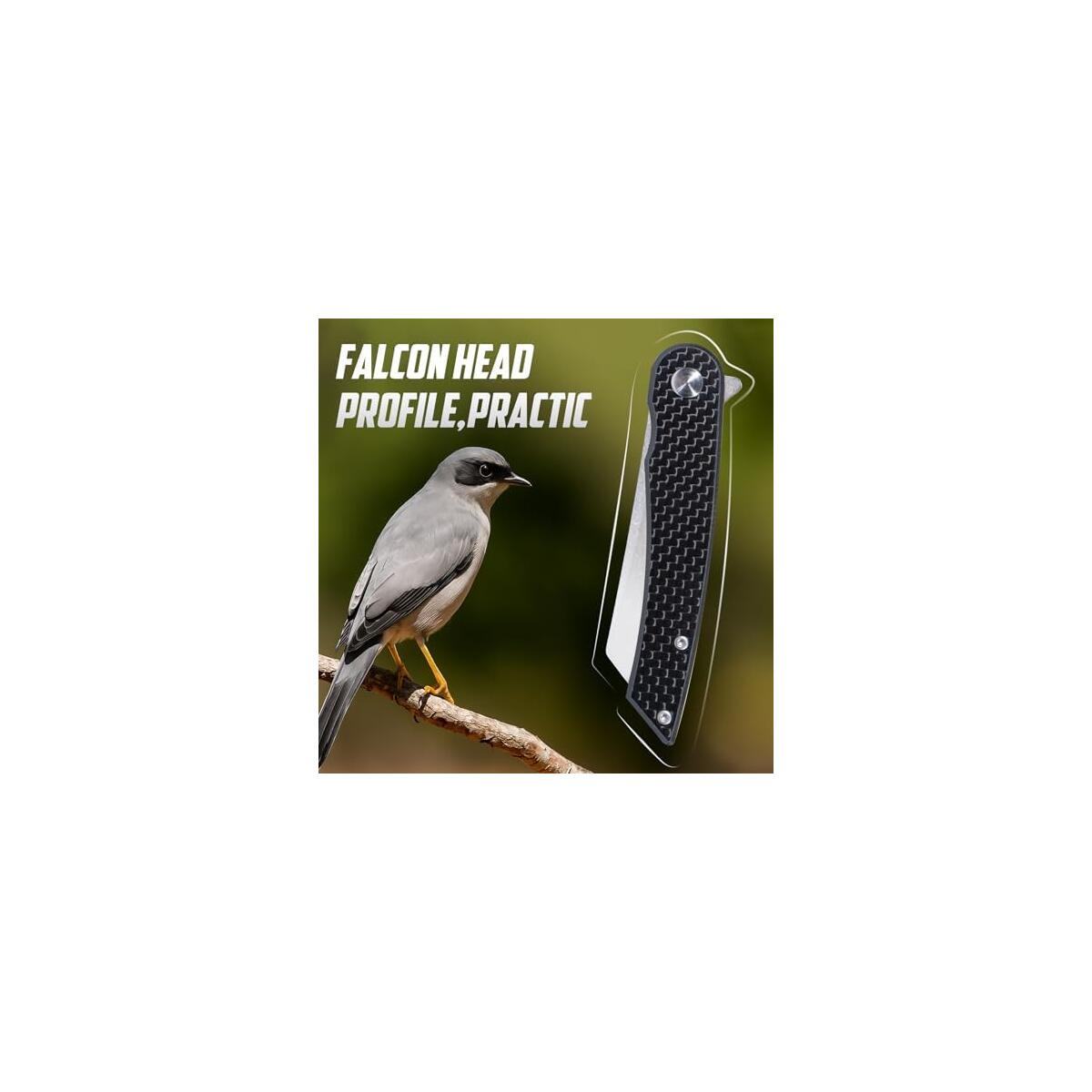Folding Pocket Knife 2 Coupon - RebateKey