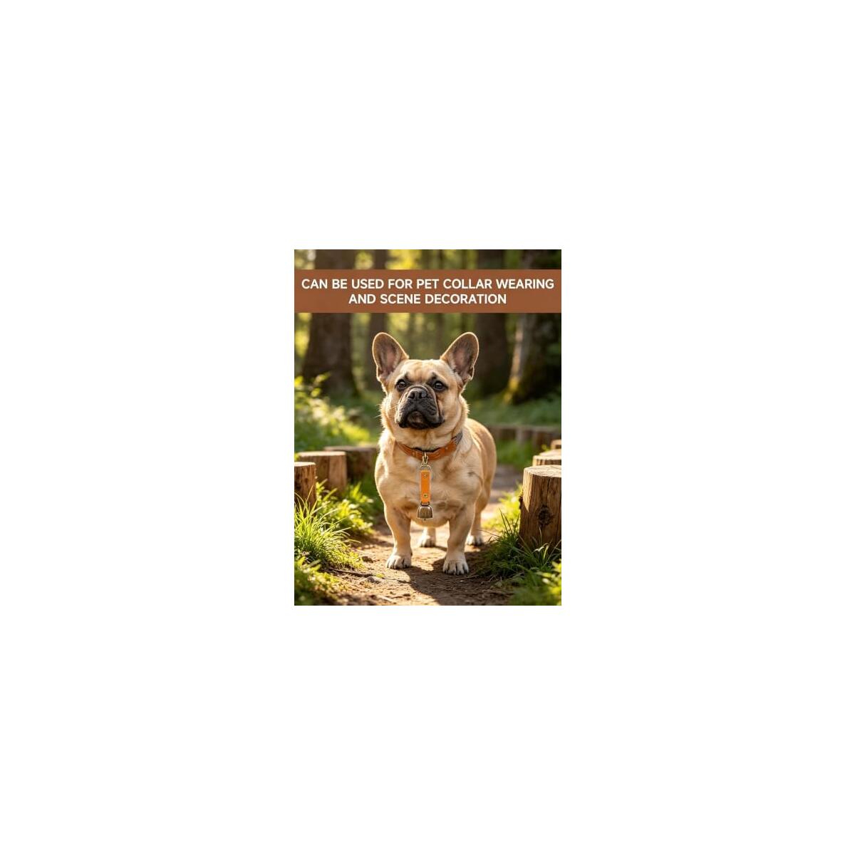 2 Pack Metal Bear Promo Codes - RebateKey