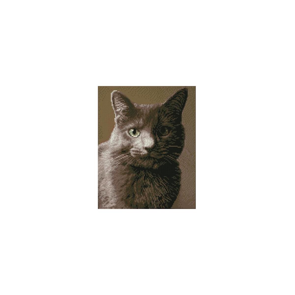 Diamond Dotz Smokey Cat Deal - RebateKey