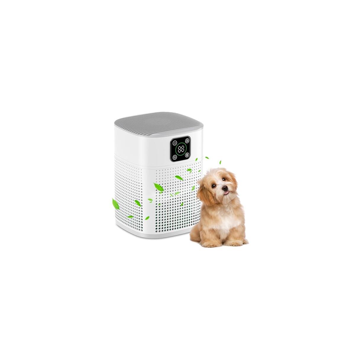 Air Purifiers For Bedroom 2 Coupon - RebateKey