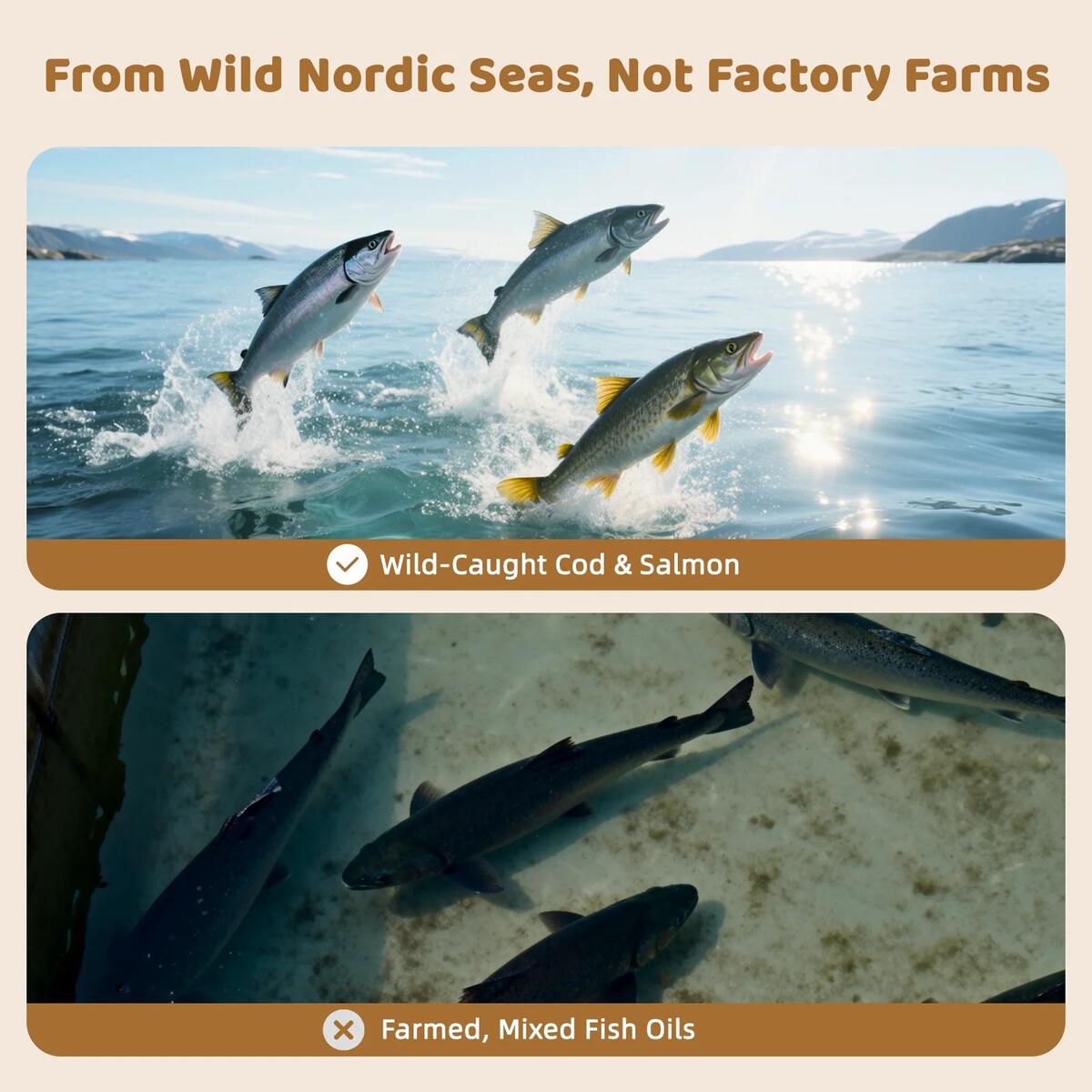Wild Norway Omega 3 Coupon - RebateKey