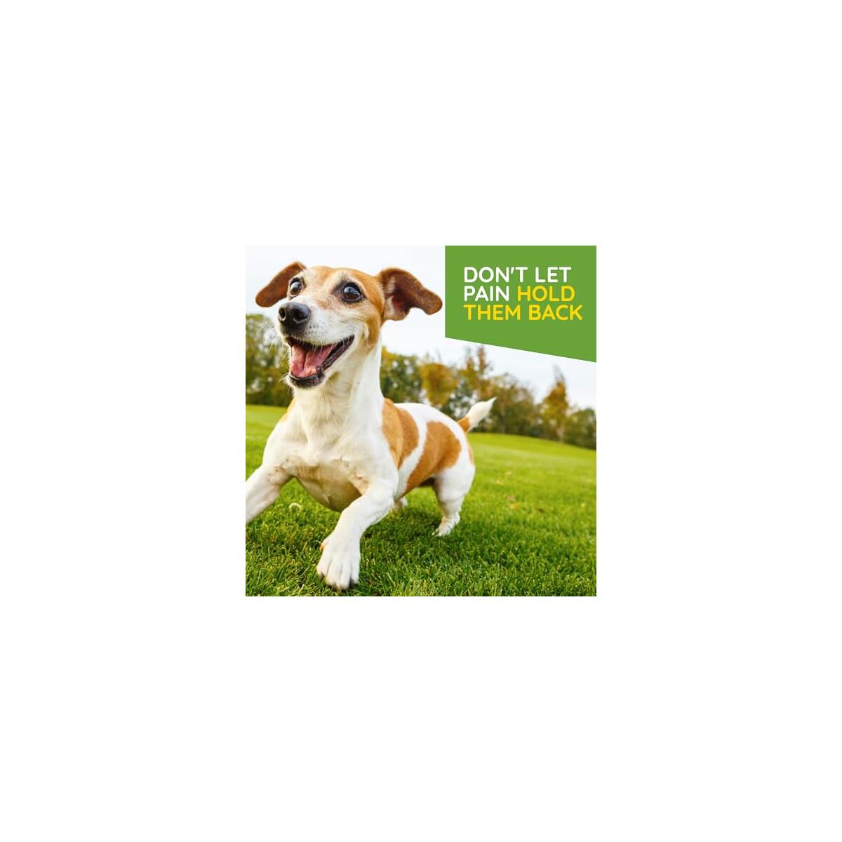 Medinatura T Relief Pet Arthritis Promo Codes - RebateKey