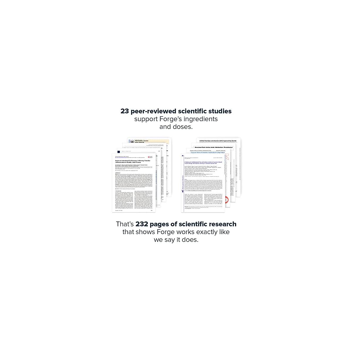 Legion Forge Fasted Fat Deals - RebateKey