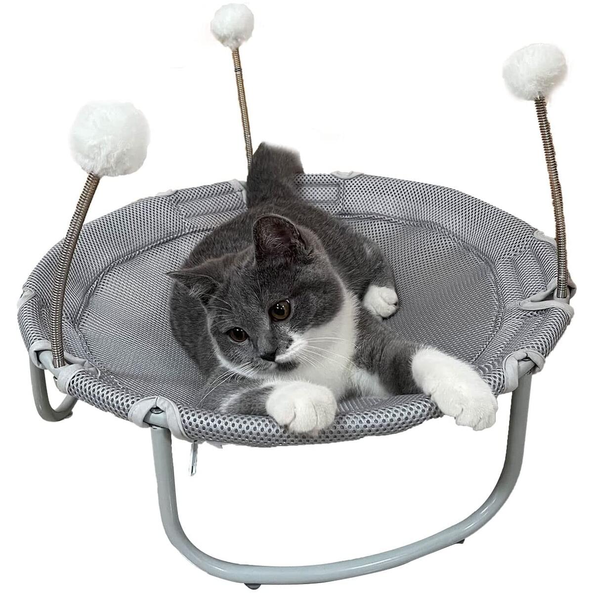 Babyezz Cat And Dog Coupons - RebateKey