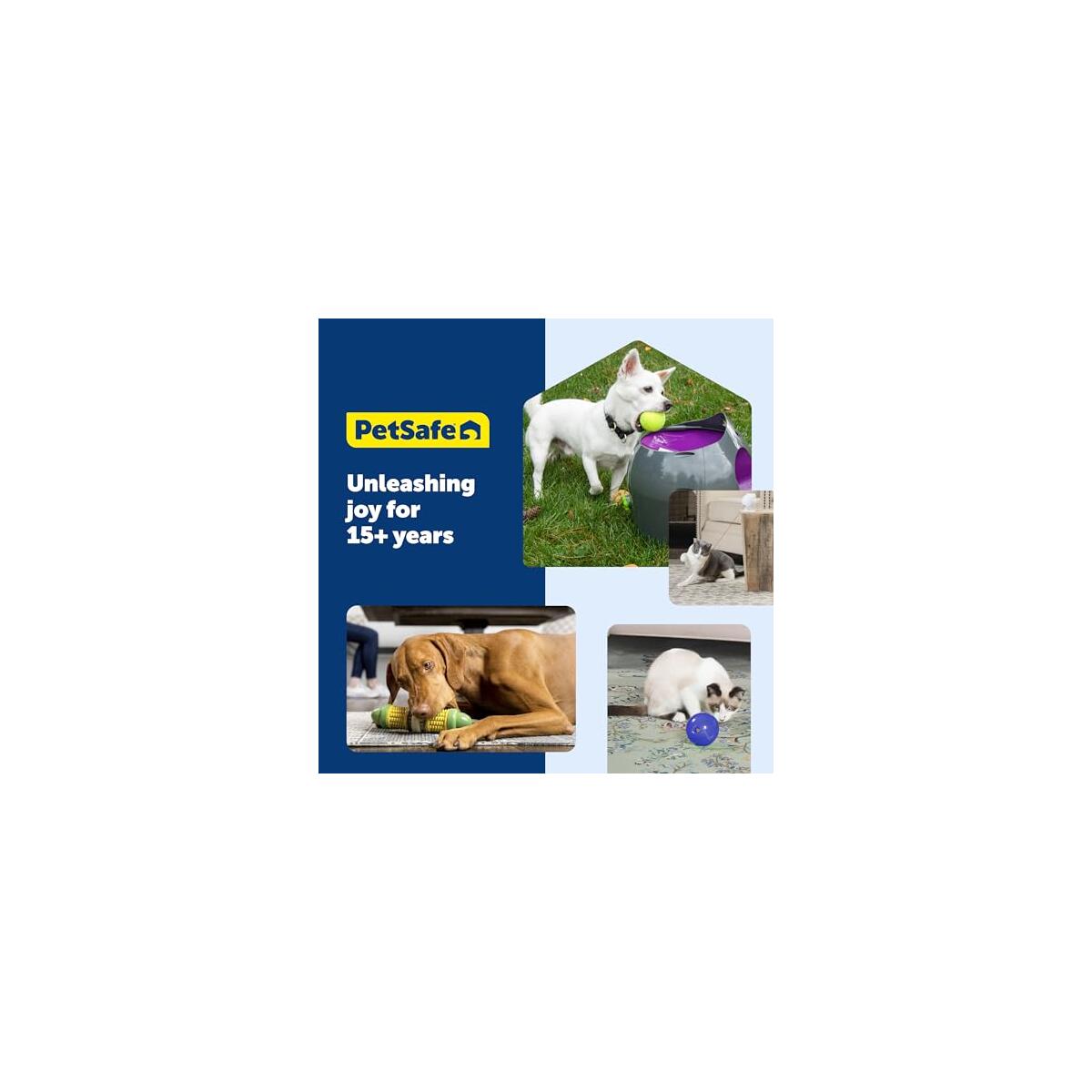 Petsafe Funkitty Egg Cersizer Promo Codes - RebateKey