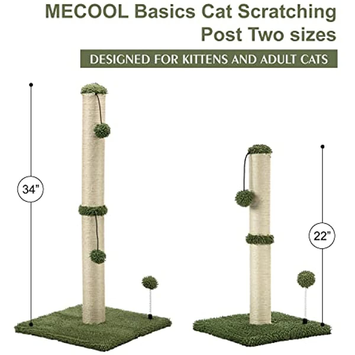 Mecool Tall Cat Scratching Promo Code - RebateKey