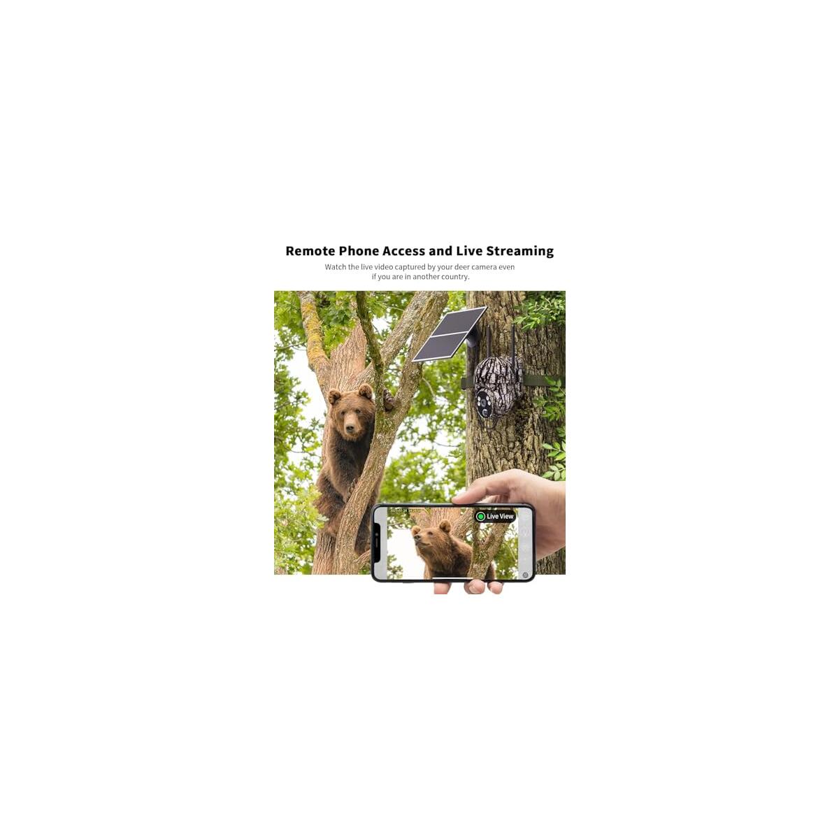 Cellular Trail Cameras 4 Promo Codes - RebateKey