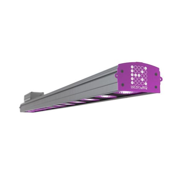 Light Coupons - RebateKey