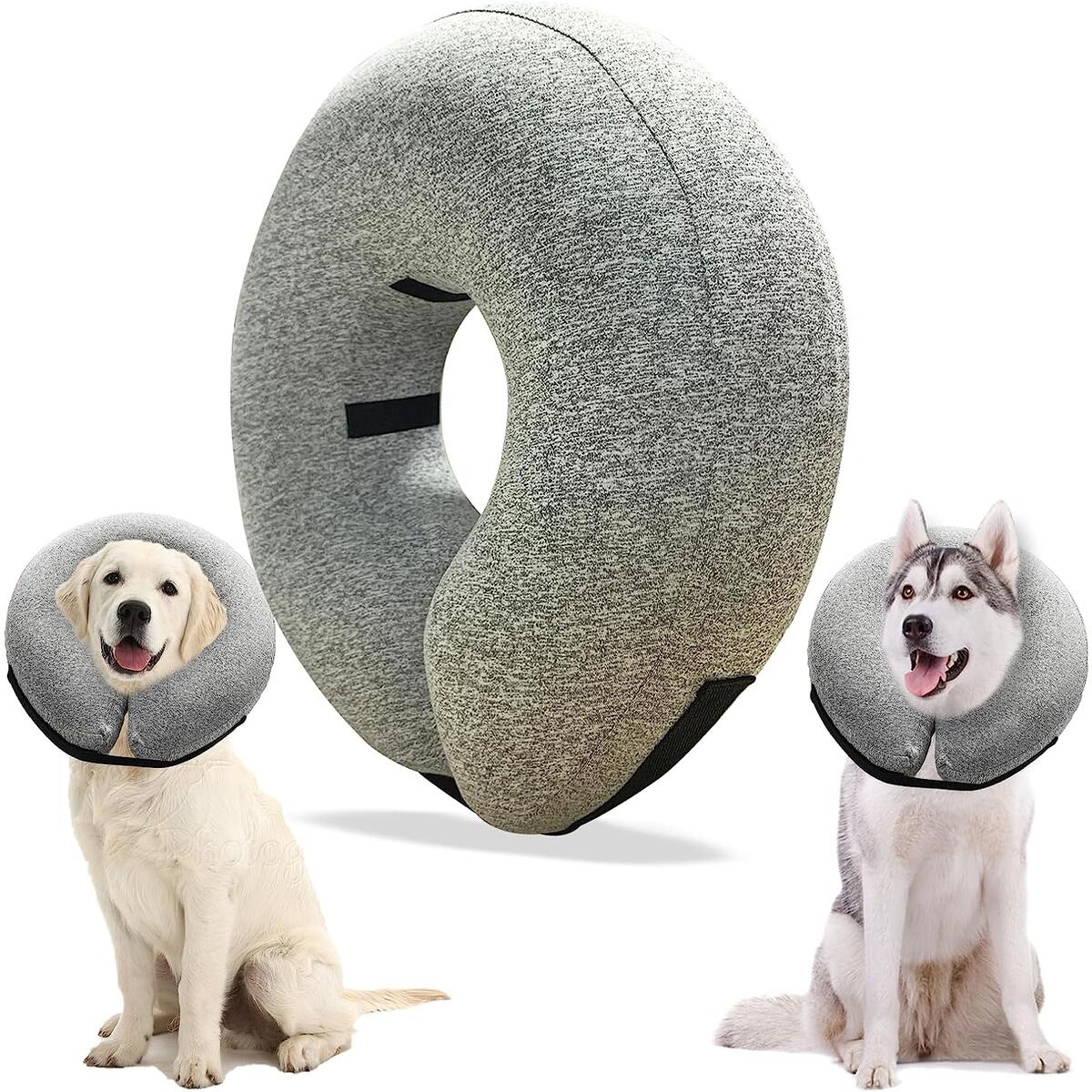 Dog Toothpaste Rebates RebateKey