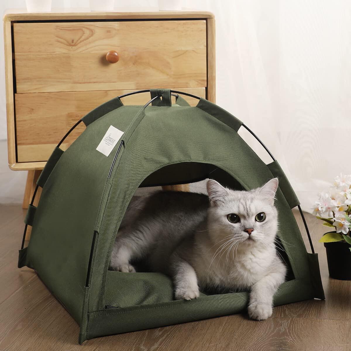 Cat Portable Indoor Outdoor Coupons - RebateKey