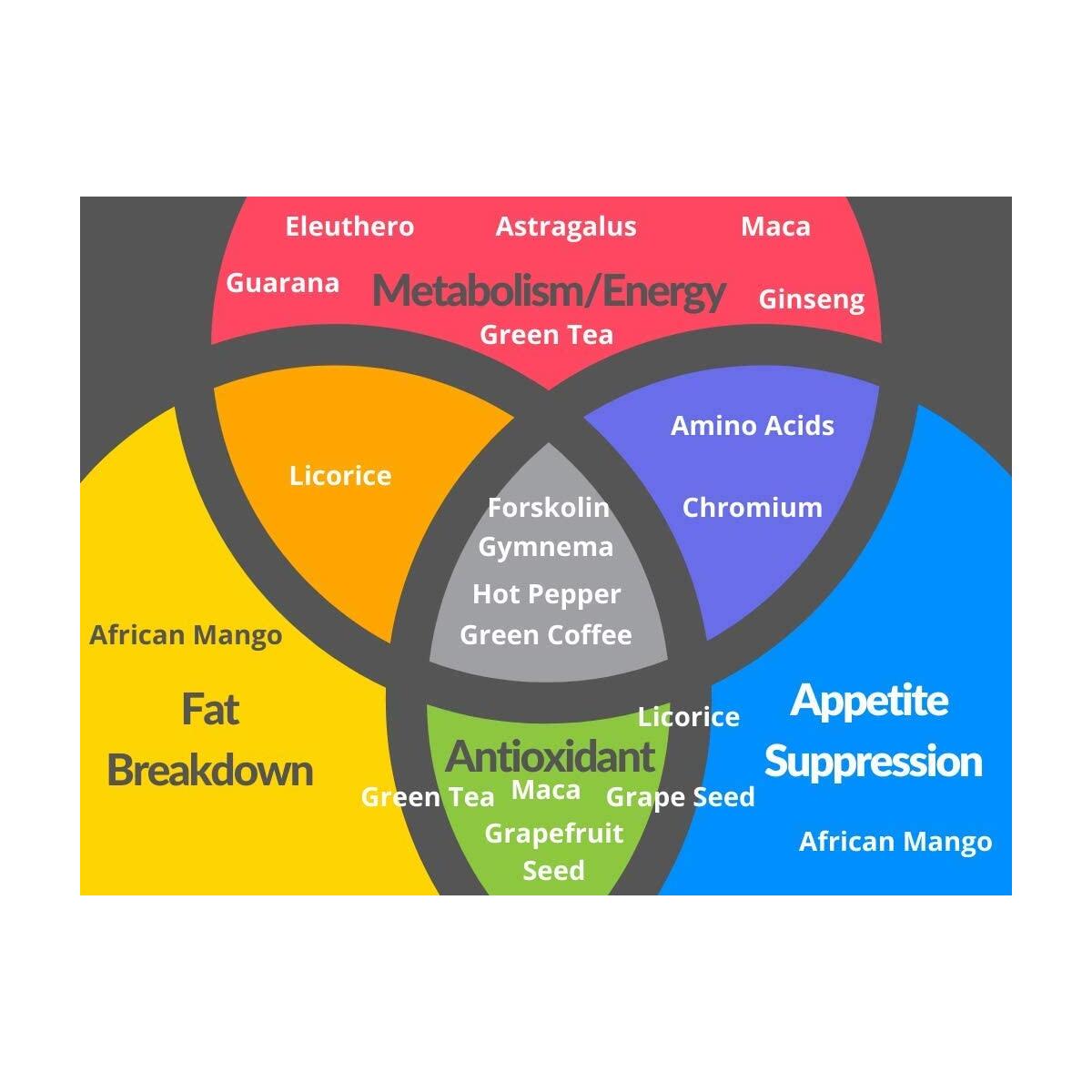 Fat Burner Drops Coupons - RebateKey