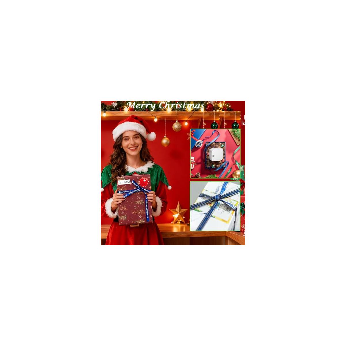 Phomemo P12 Label Deal - RebateKey