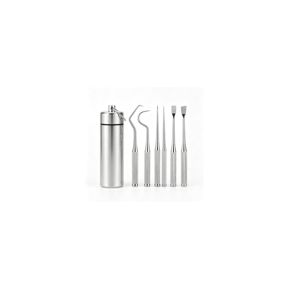 304 Stainless Steel Toothpick Set 5-Piece with Keychain Case | Non-Slip Dragon Scale Grip, Tartar & Plaque Remover, Portable Storage Tube, Food Grade 18/8 Steel, 7 cm Compact Tools