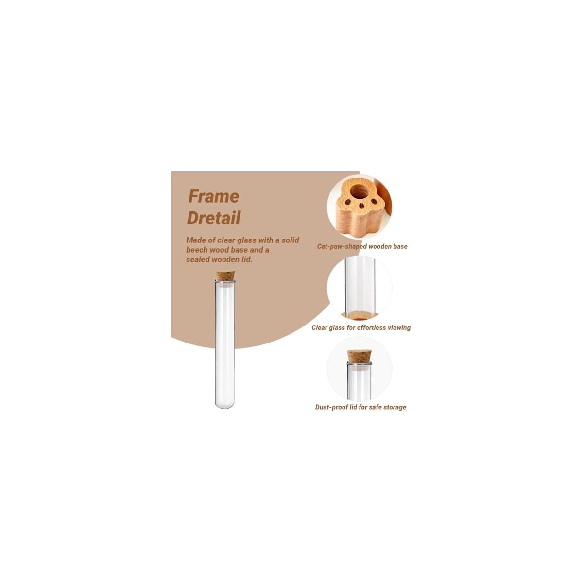 Cat Whisker Holder Deals - RebateKey