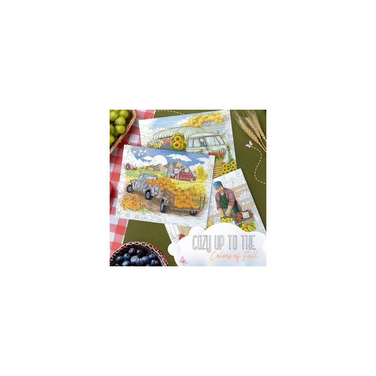 Colorit Colorful Harvest Adult Coupons - RebateKey