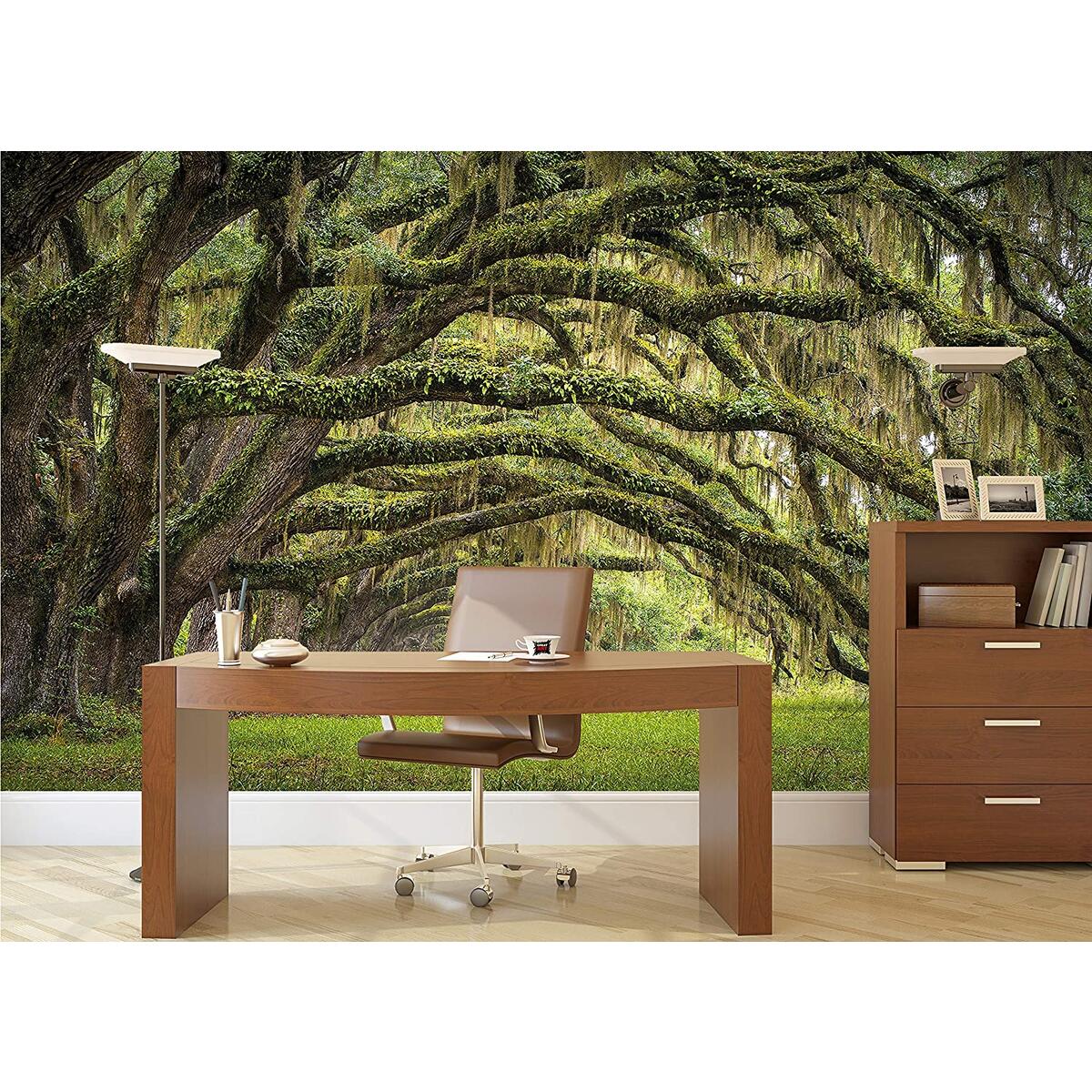 Large Photo Wallpaper Oak Promo Code - RebateKey