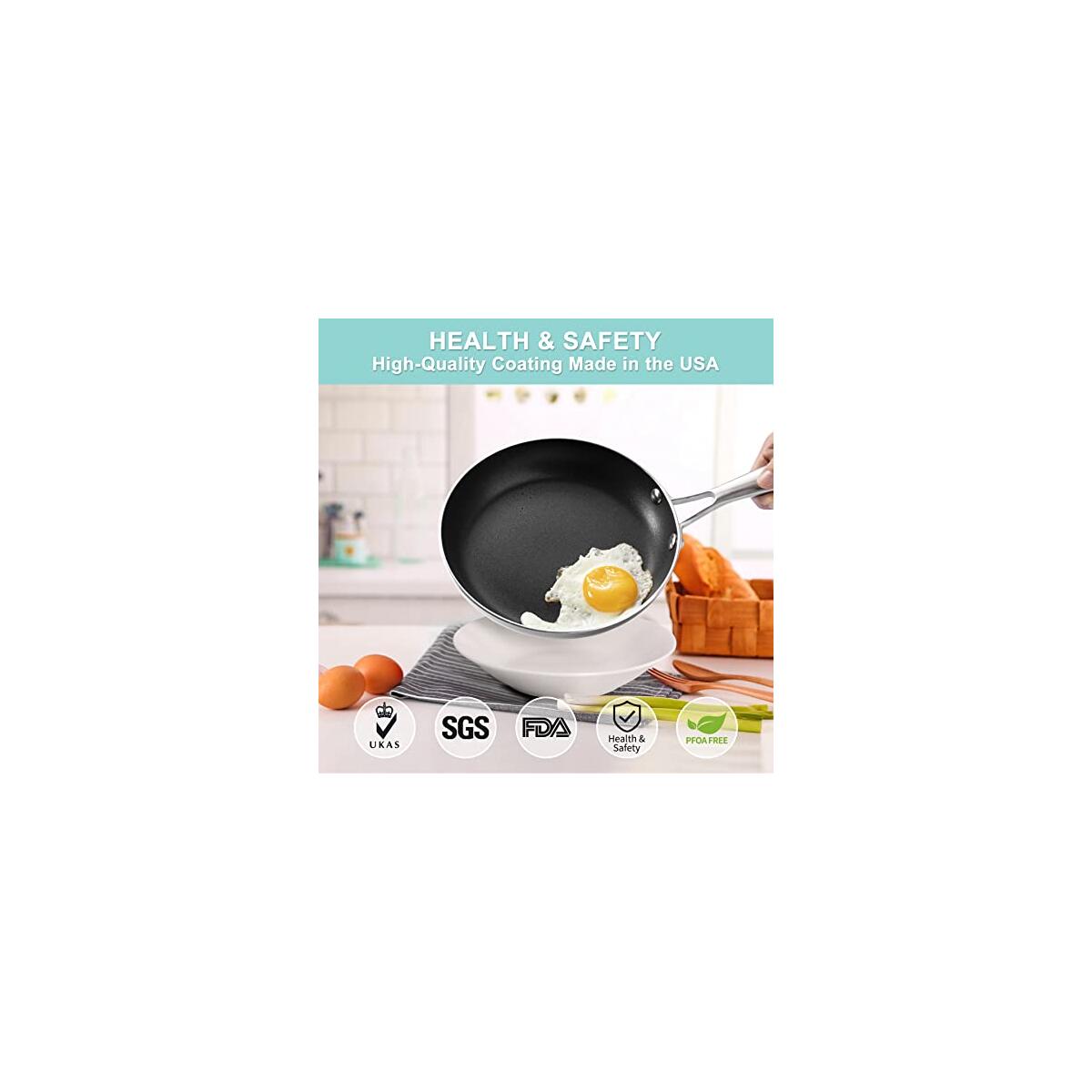 Sanalaiv Inch Frying Pan Coupons - RebateKey