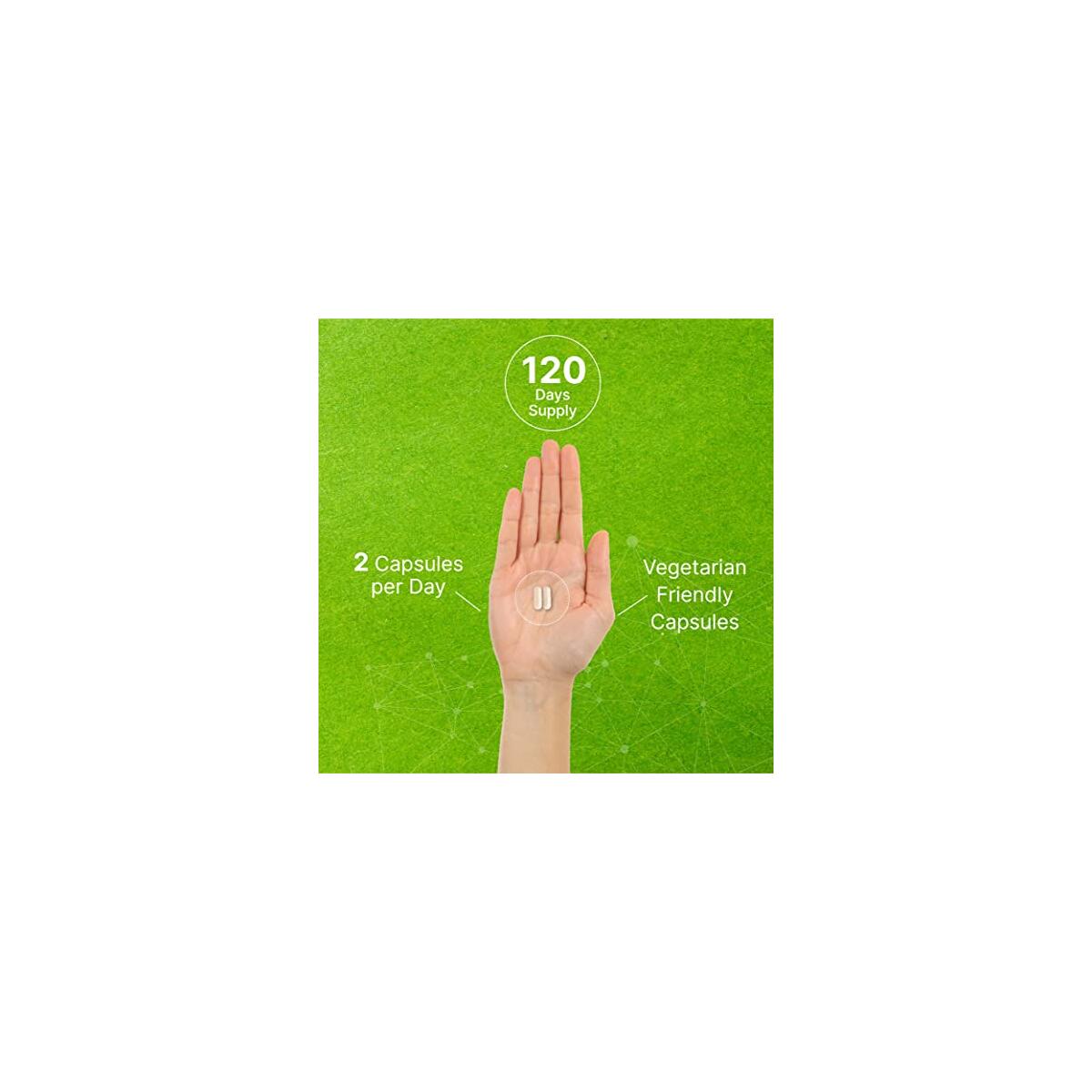 Dim Supplement Mg Caps Deals - RebateKey