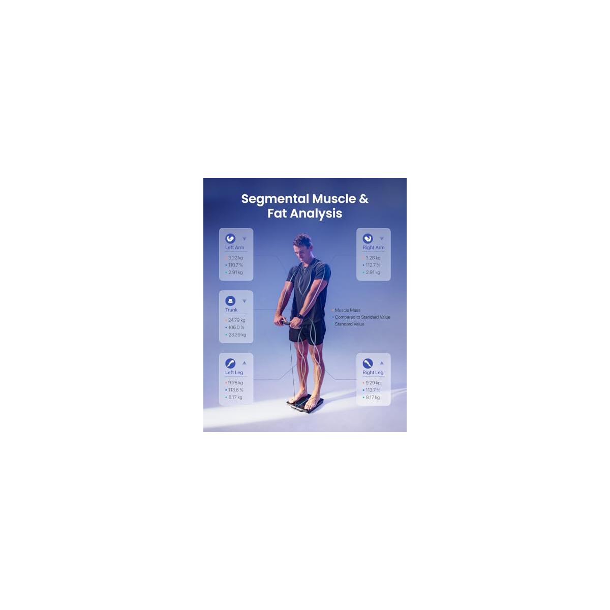 Renpho Smart Scale For Coupon - RebateKey