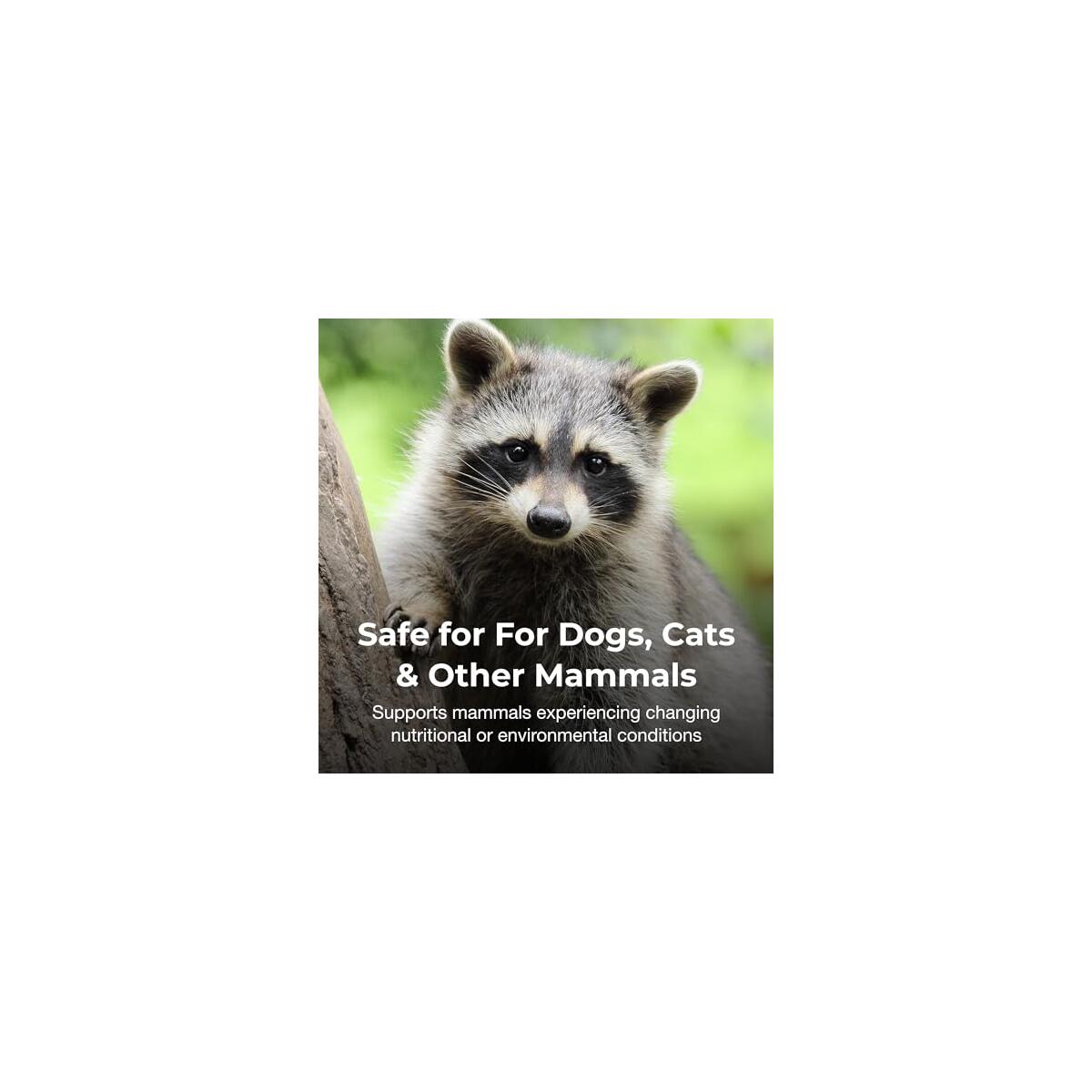 Petag Bene Bac Plus Promo Code - RebateKey