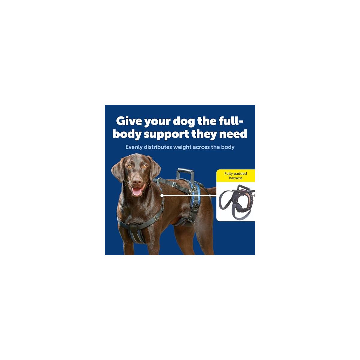 Petsafe Carelift Support Promo Code - RebateKey