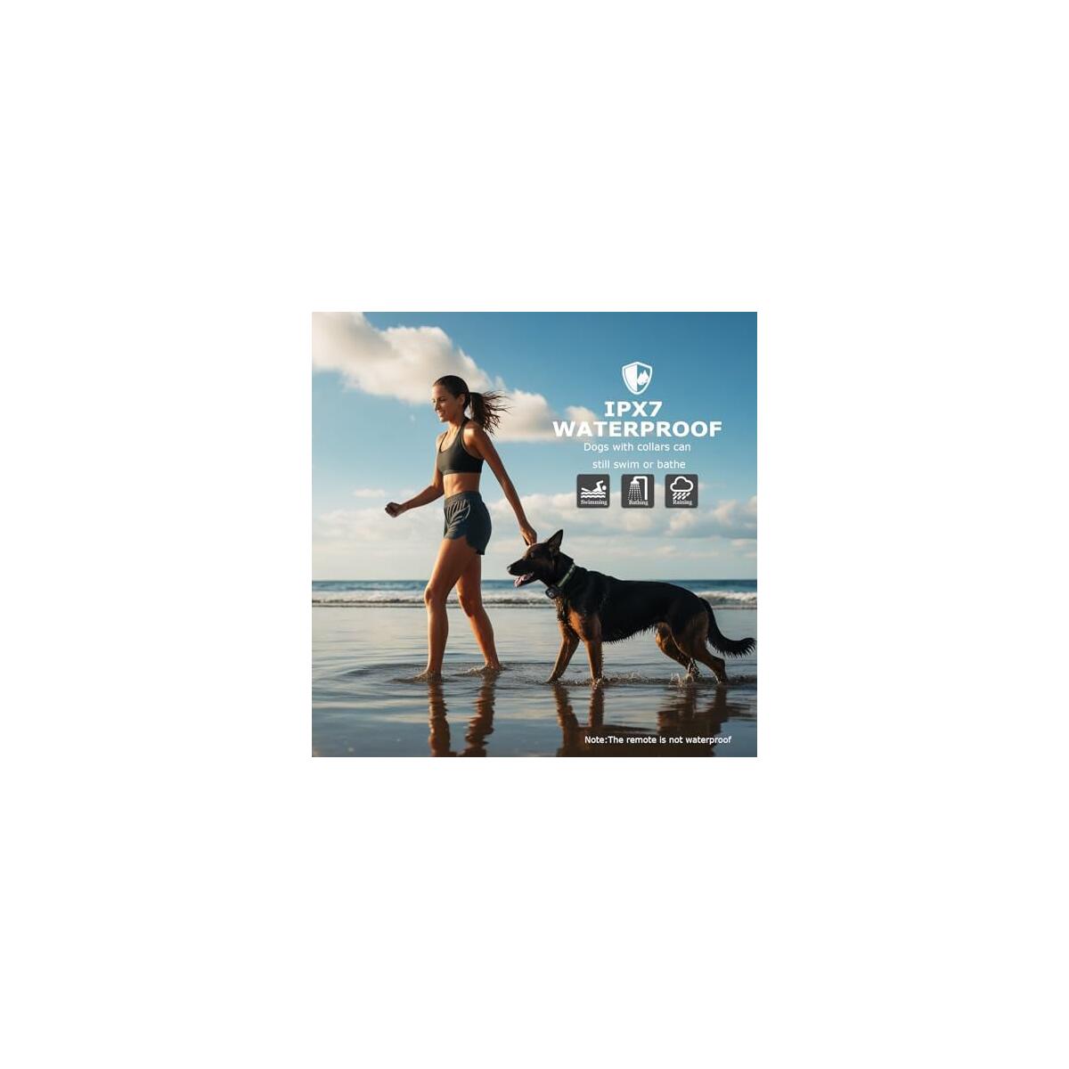 Dog Shock Collar Featuring A Touch Screen Deals - RebateKey