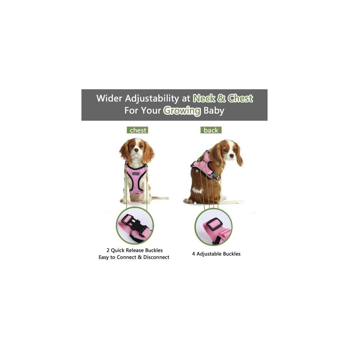 Adjustable Cat Harness With Coupons - RebateKey