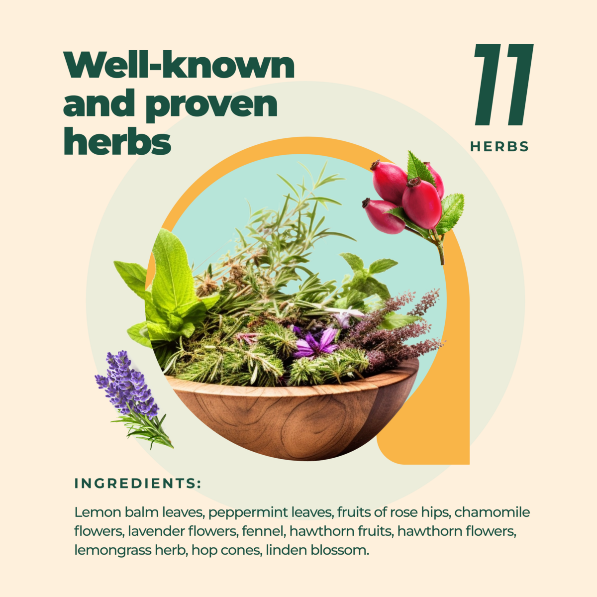 Immune Support Tea Deals - RebateKey