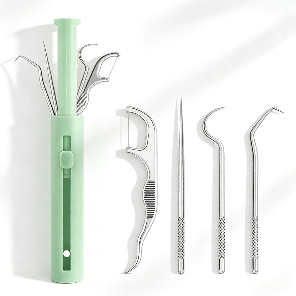 Stainless Steel Toothpick & Dental Floss Pick Set