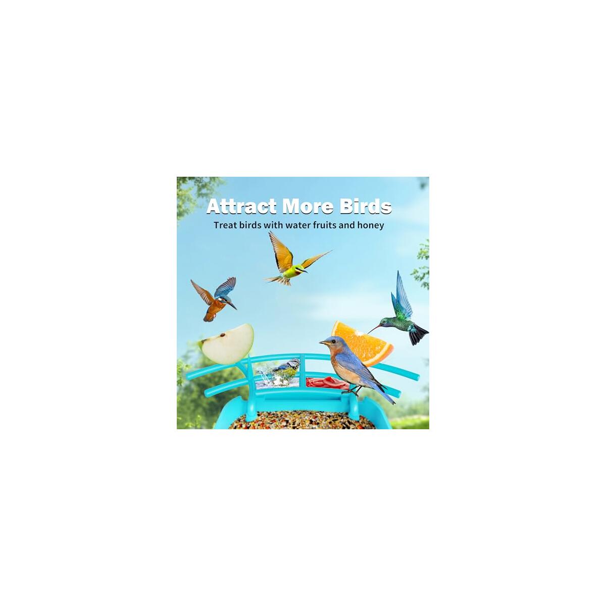 Smart Bird Feeder With Camera Coupons - RebateKey