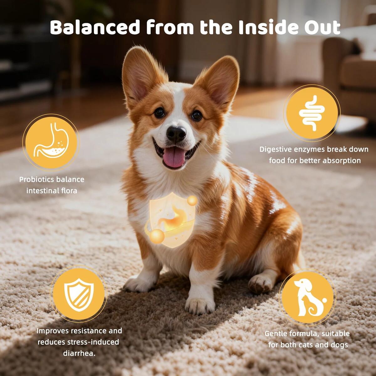 Gut Digestive Health Coupons - RebateKey