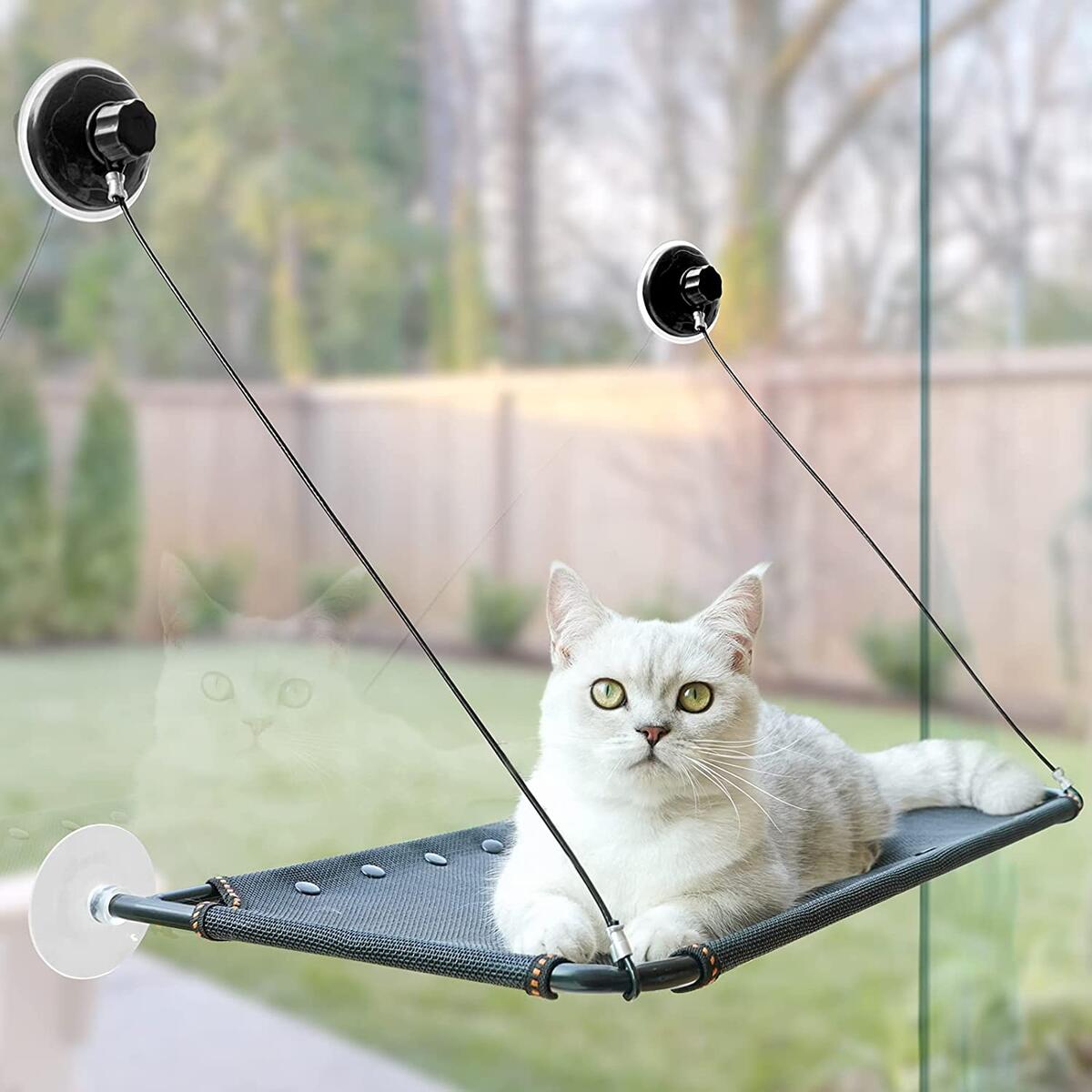 Cat Window Perch Deals - RebateKey