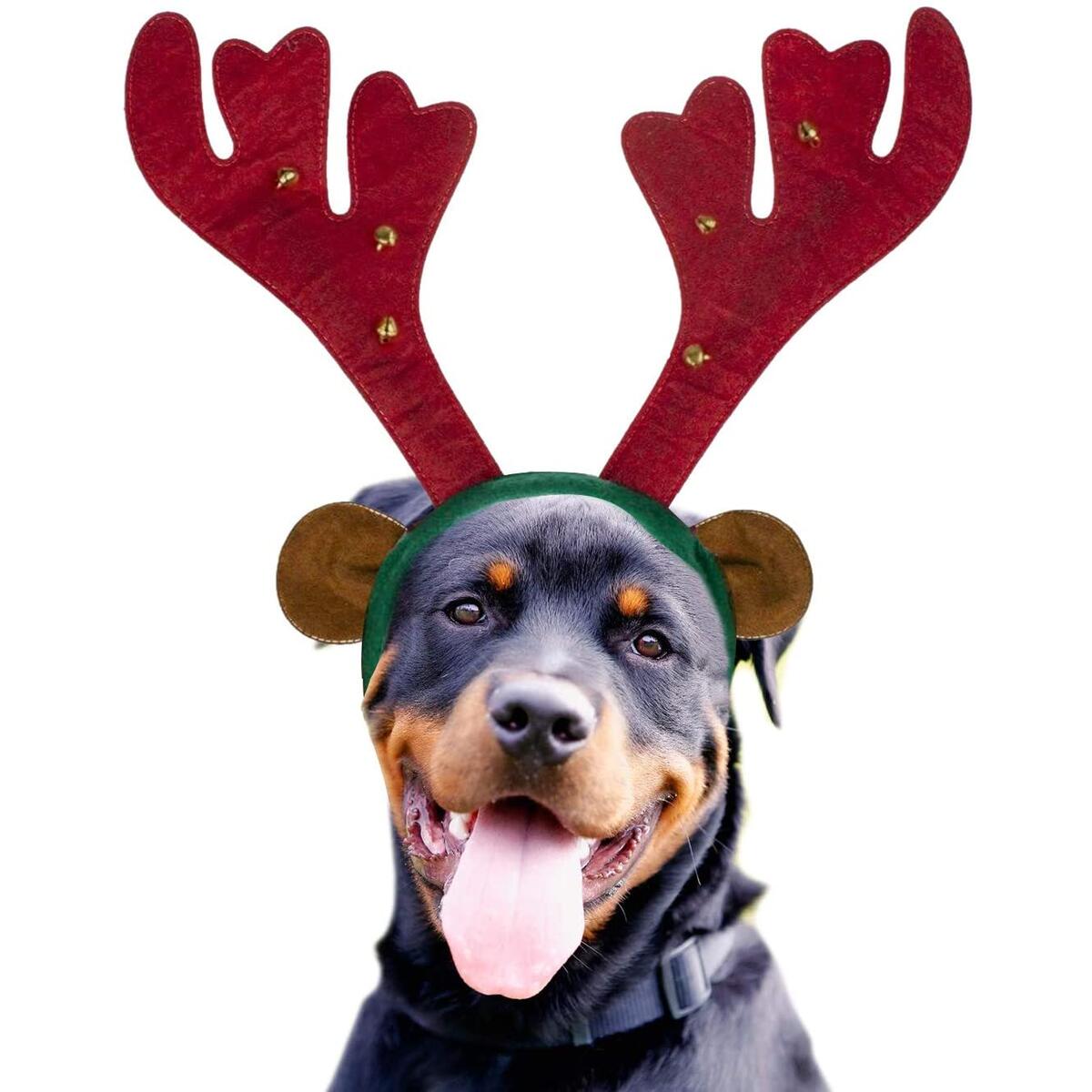 Antlers For Dogs Promo Code - RebateKey