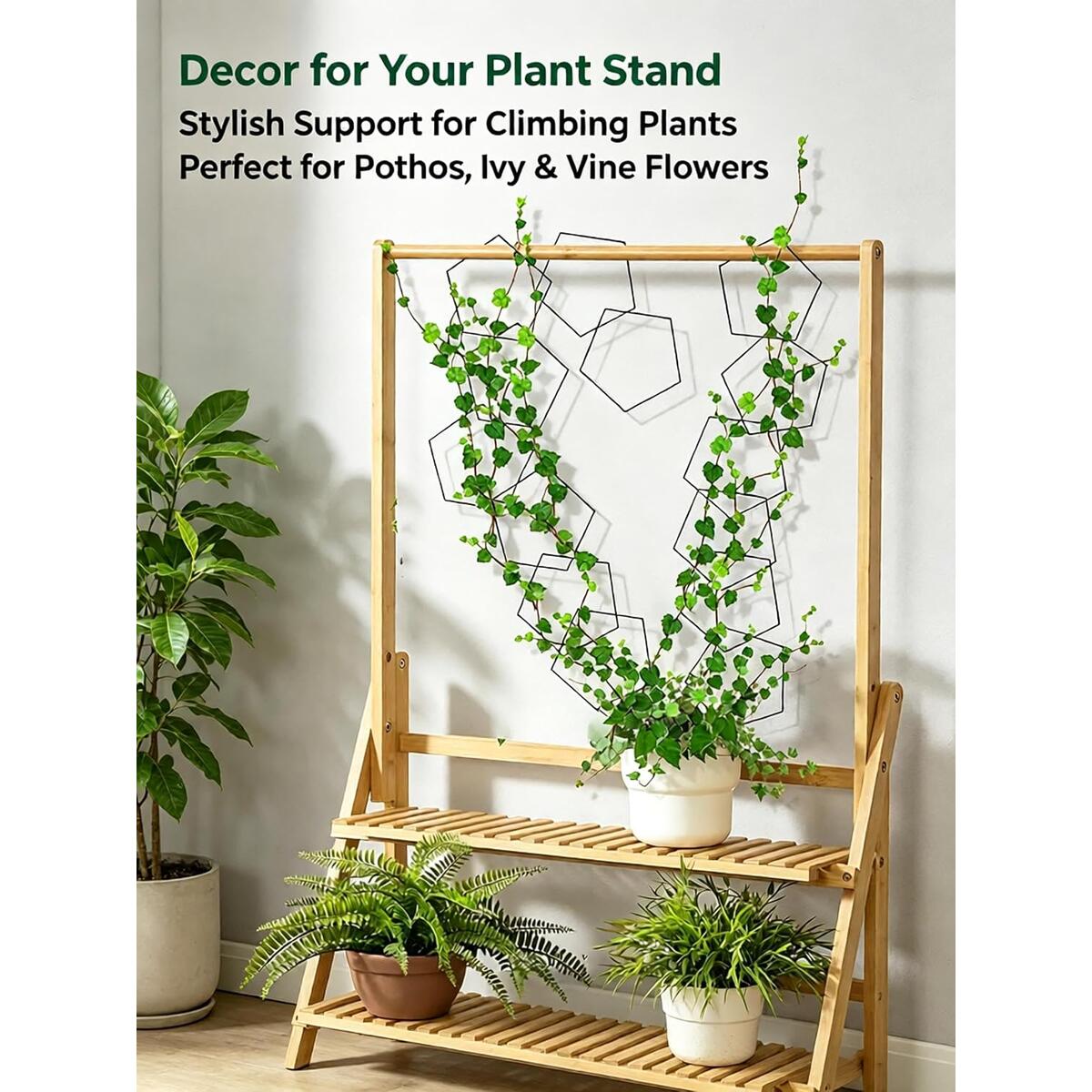 Hexagonal Chain Trellis Promo Codes - RebateKey