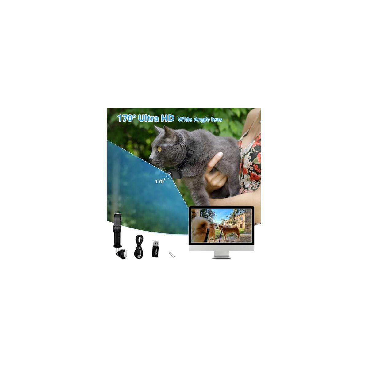 Cat Camera Collar Coupon - RebateKey