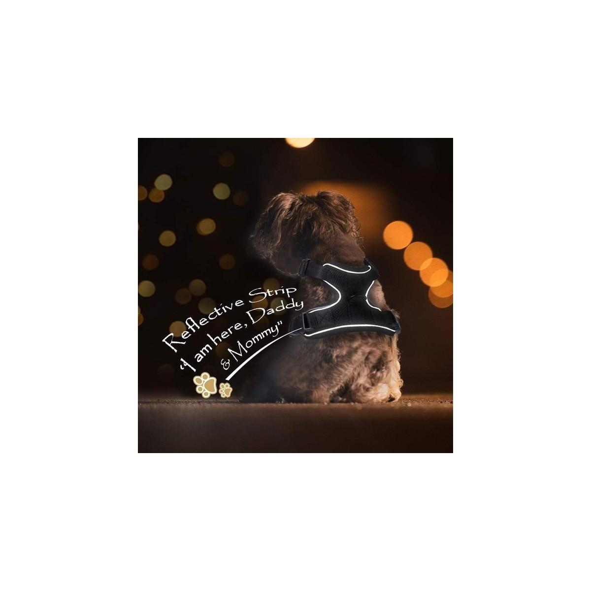 Adjustable Cat Harness With Coupons - RebateKey