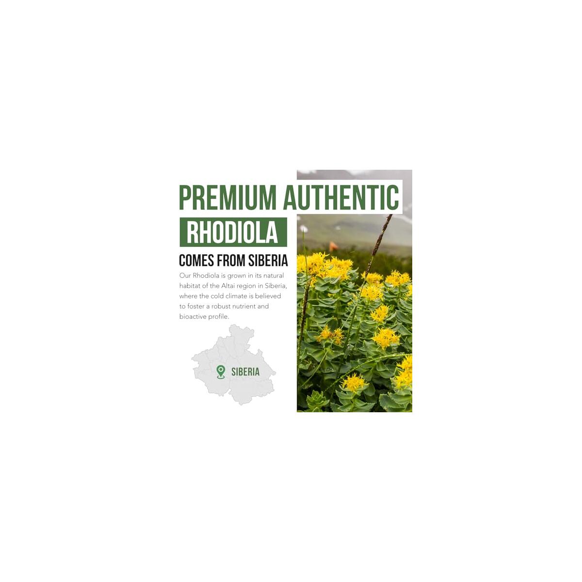 Max Strength Siberian Rhodiola Coupons - RebateKey