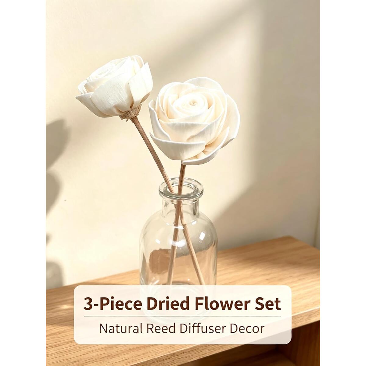 Sola Wood Rose Deal - RebateKey