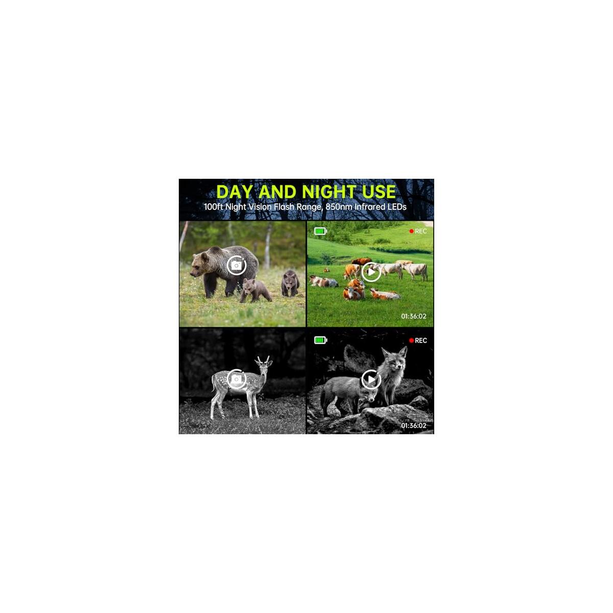 Trail Camera 4k 64mp Deals - RebateKey