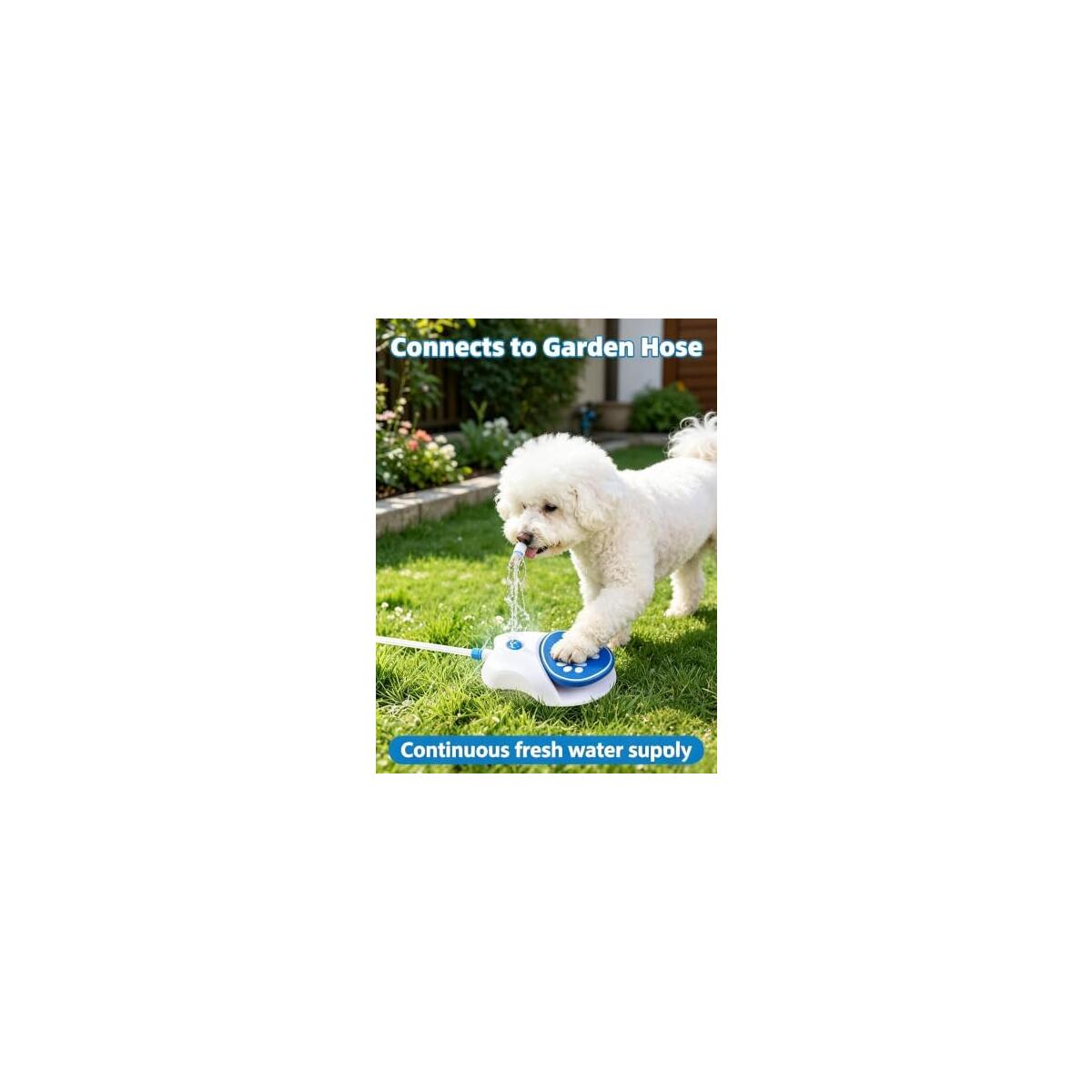 Dog Water Fountain Promo Codes - RebateKey