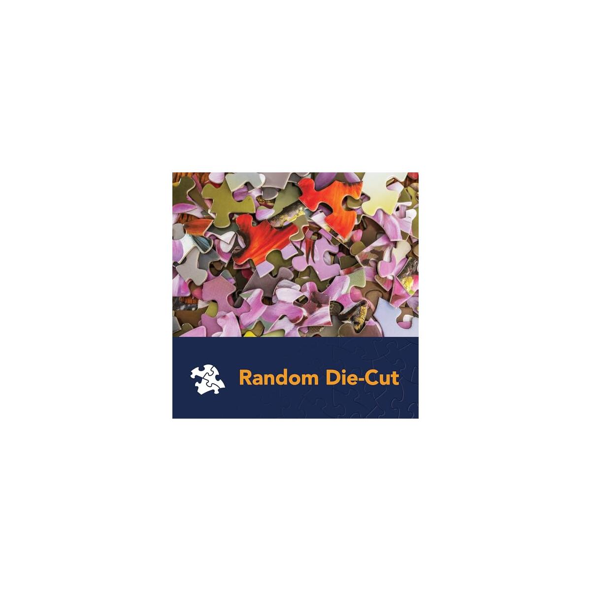 Bits And Pieces Value Coupon - RebateKey