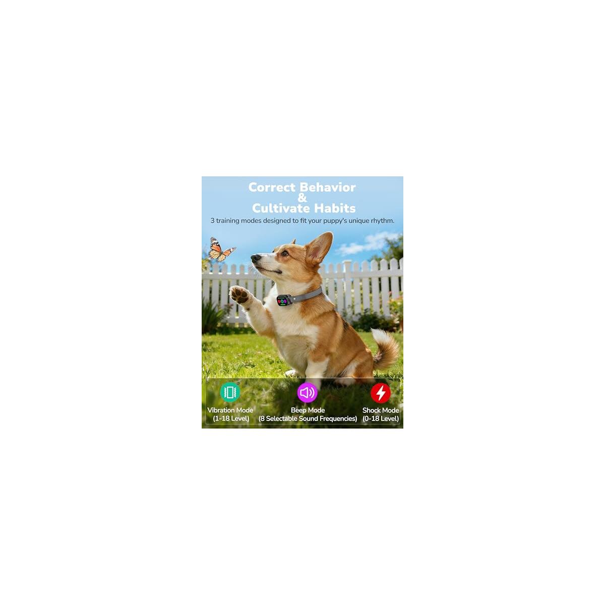 Dog Shock Collar 2 Deal - RebateKey