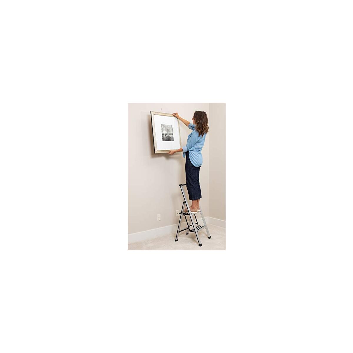 Birdrock Home Step Ladder Promo Codes - RebateKey