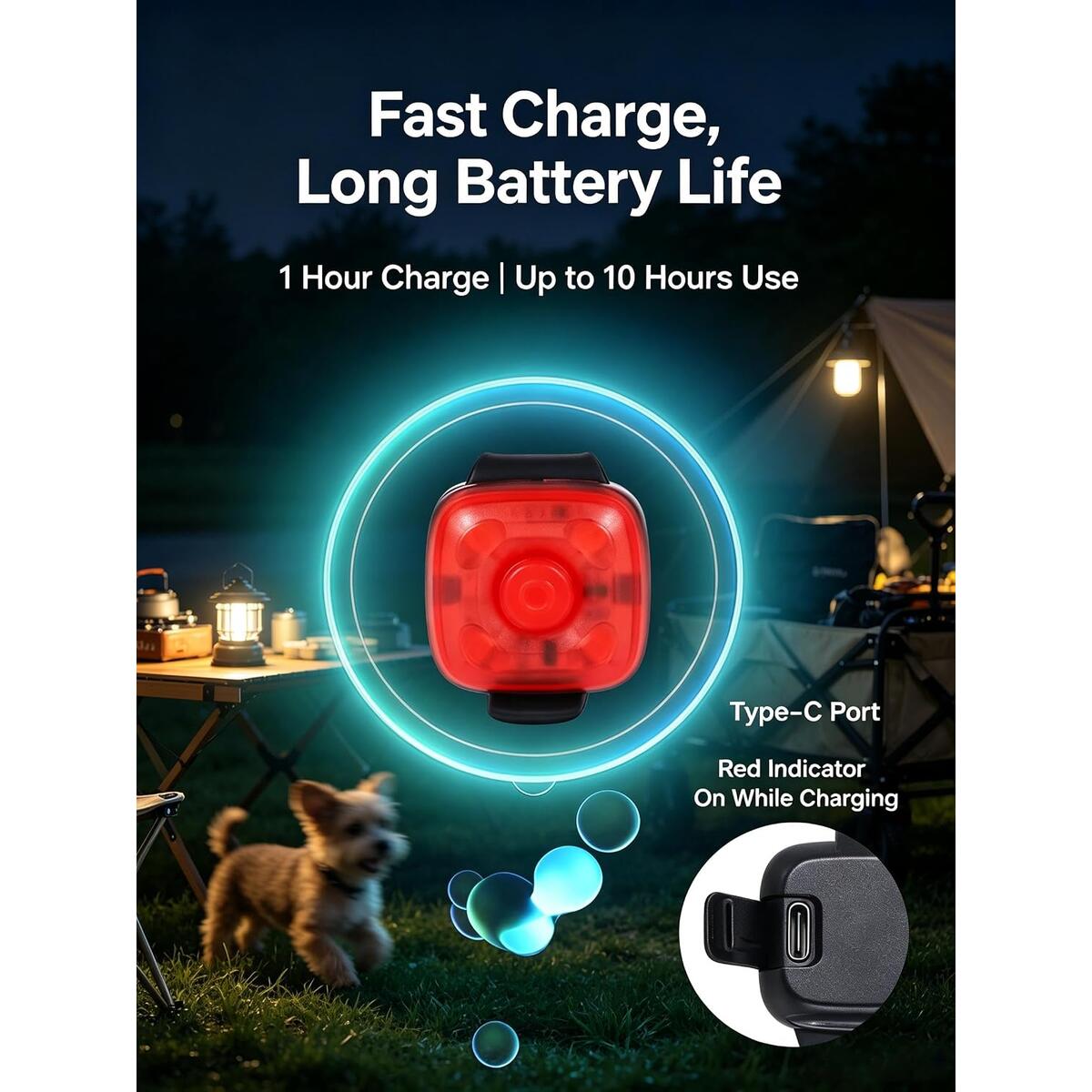 Rechargeable Led Dog 1 Coupon - RebateKey
